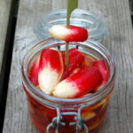 Gâteau fondant pommes, pépites de fraises séchées & tonka