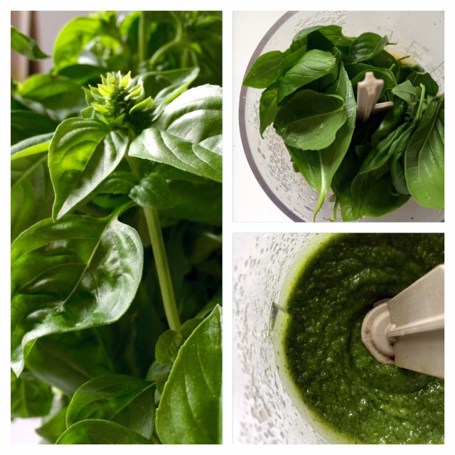 pesto maison